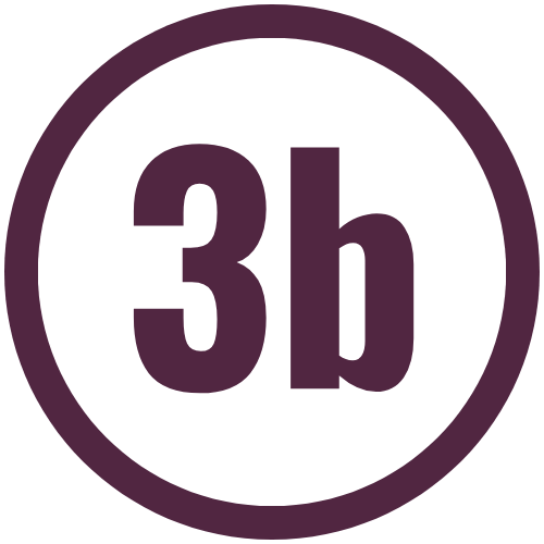 3b.png