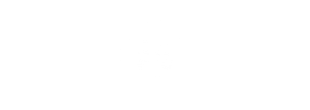 bachmann 2.png