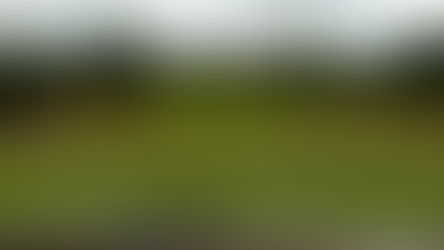 July 2025 - John O'Gaunt