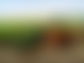 Hidratado deve ficar de lado na semana, após compras defensivas das distribuidoras