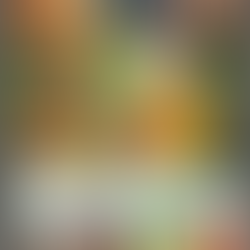 Fiber 101: Why It’s Essential for Your Health and How to Increase Your Intake