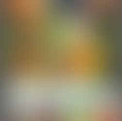 Fiber 101: Why It’s Essential for Your Health and How to Increase Your Intake