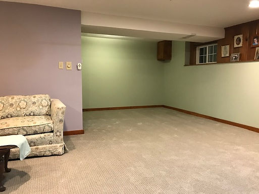 Basement Remodel