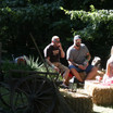 IMG_1255.JPG