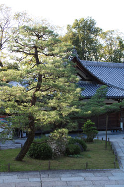 Kyoto, 2023
