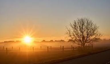 58351112-EEB9-4C59-A7CB-EE8579773A2D.jpeg