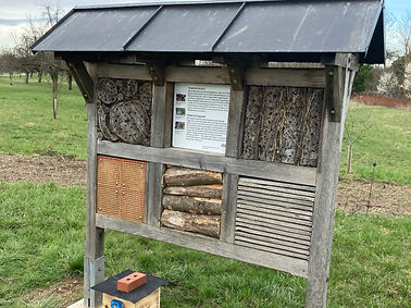 Insektenhotel.jpg