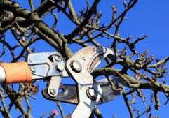 Arbeitseinsatz am 21.02.2026