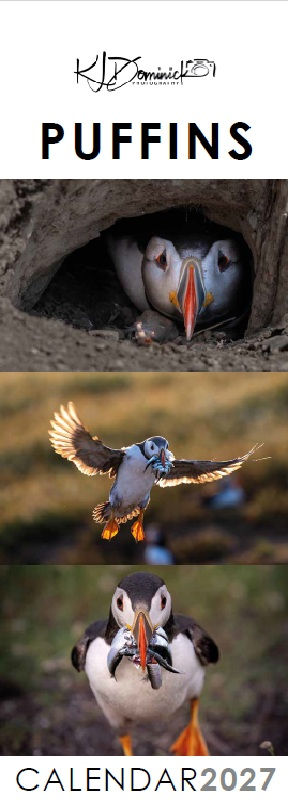 cover of slimline Puffin 2027 calendar