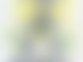 LA MANO INVISIBLE DEL MÉRITO