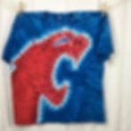 Cougar Tie-Dye Shirt