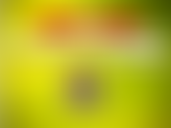 Psoríase: uma nova abordagem anti-inflamatória com NAC e Vitamina E?