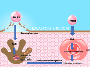 Como a poluição causa manchas na pele