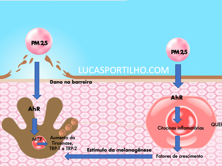 Como a poluição causa manchas na pele
