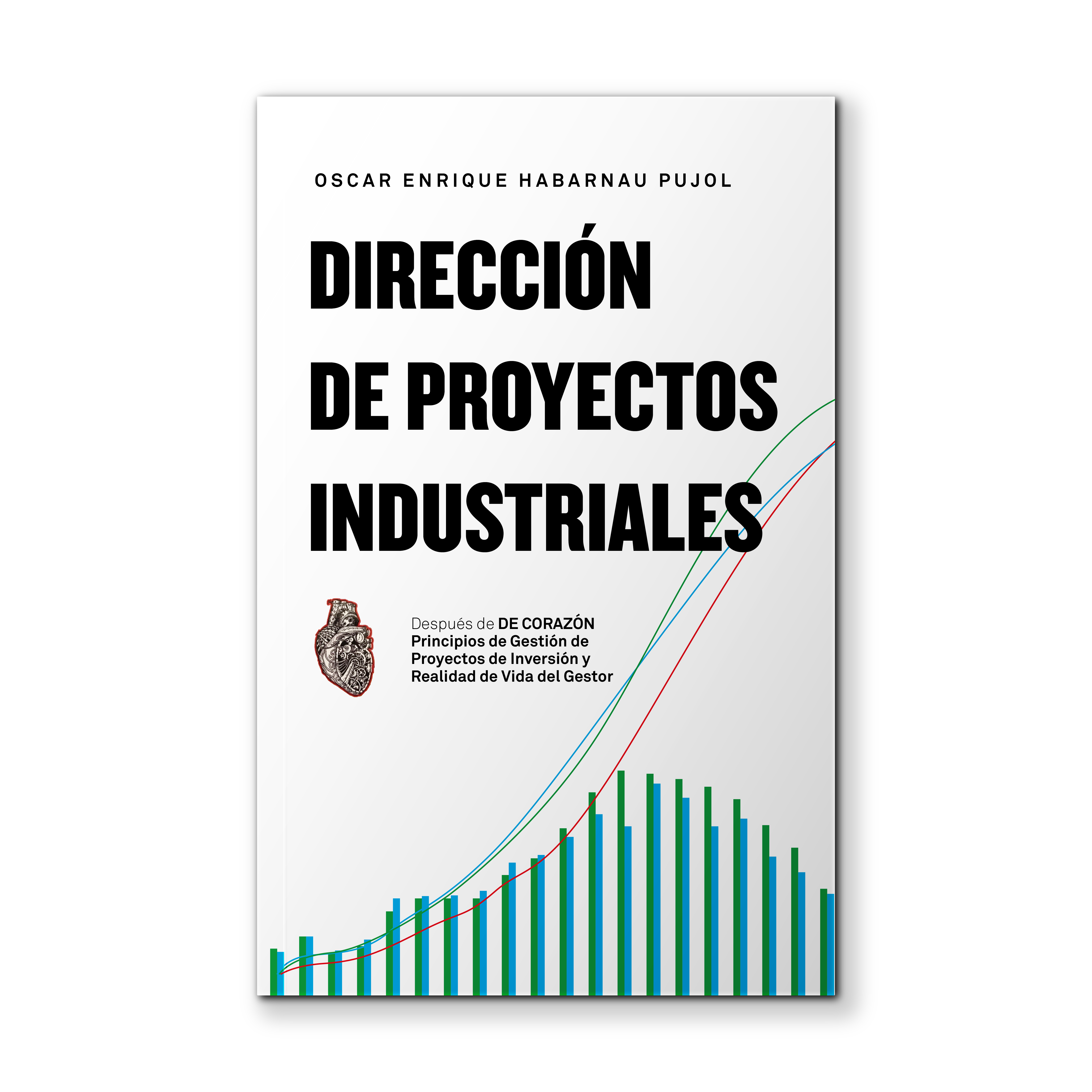 Dirección de proyectos industriales