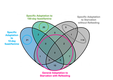 VennDiagramAnno.png