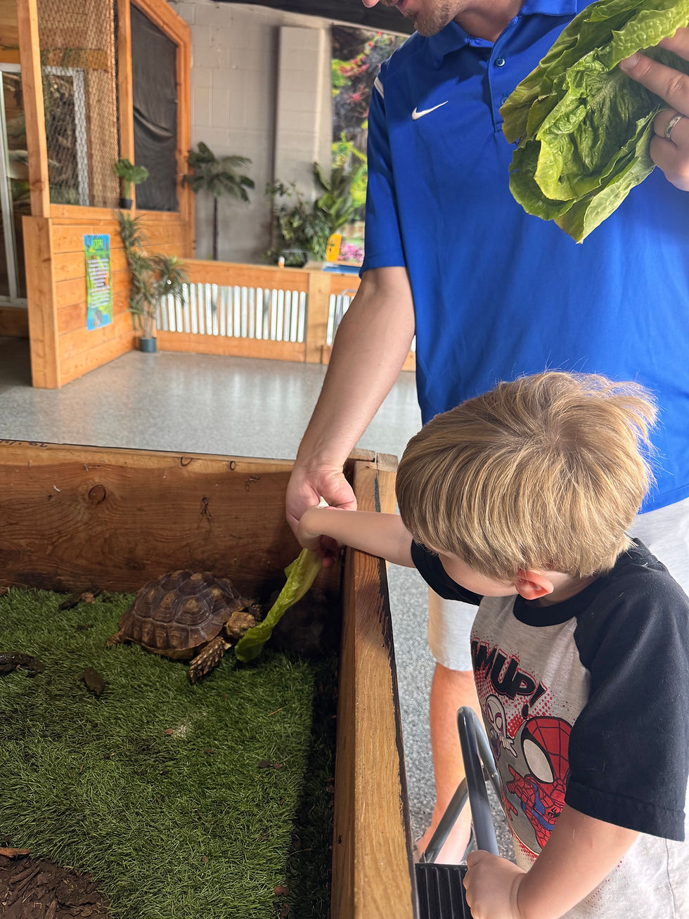 Boise Reptile Zoo