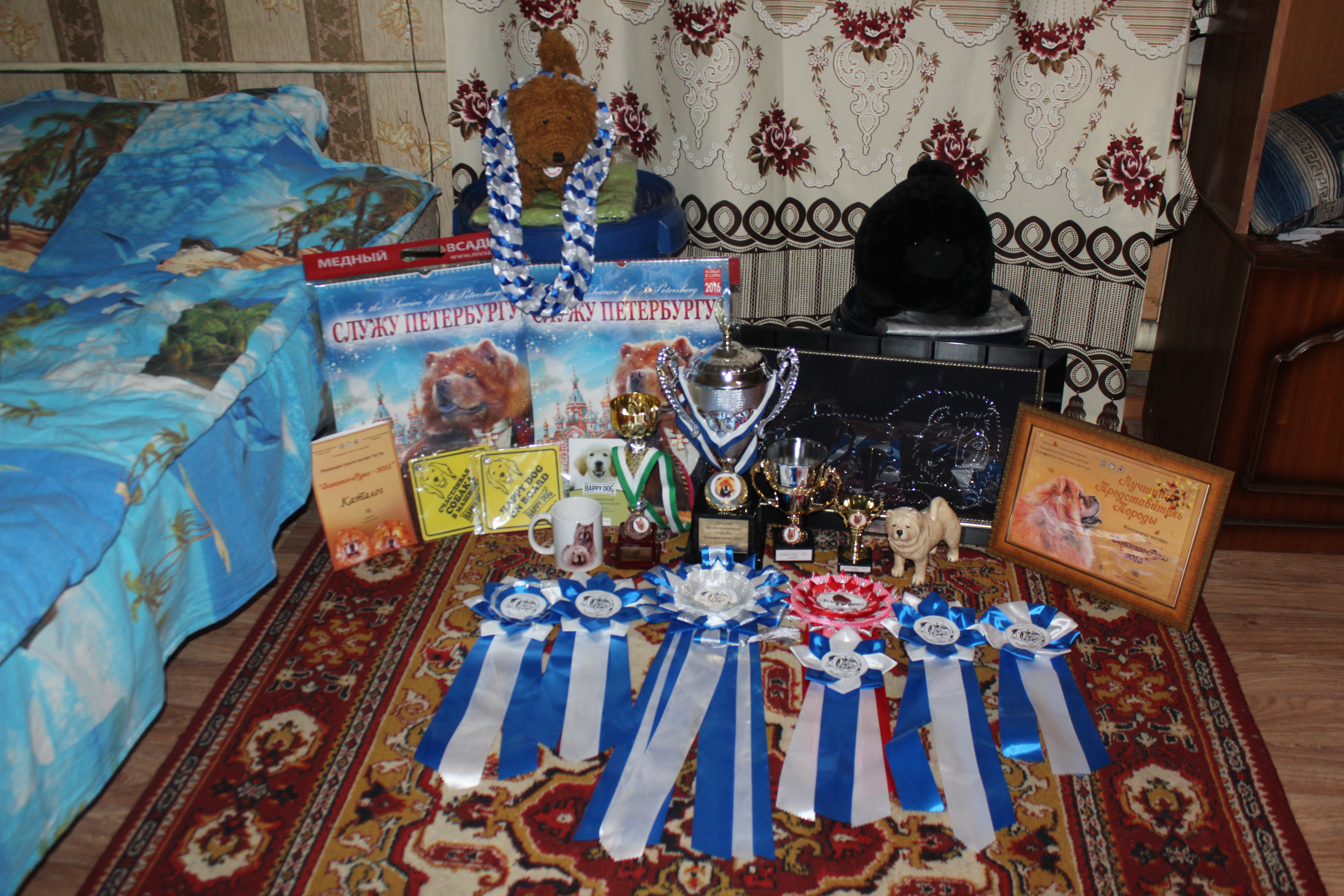 06-08 ноября 2015г. (3 года) (3)