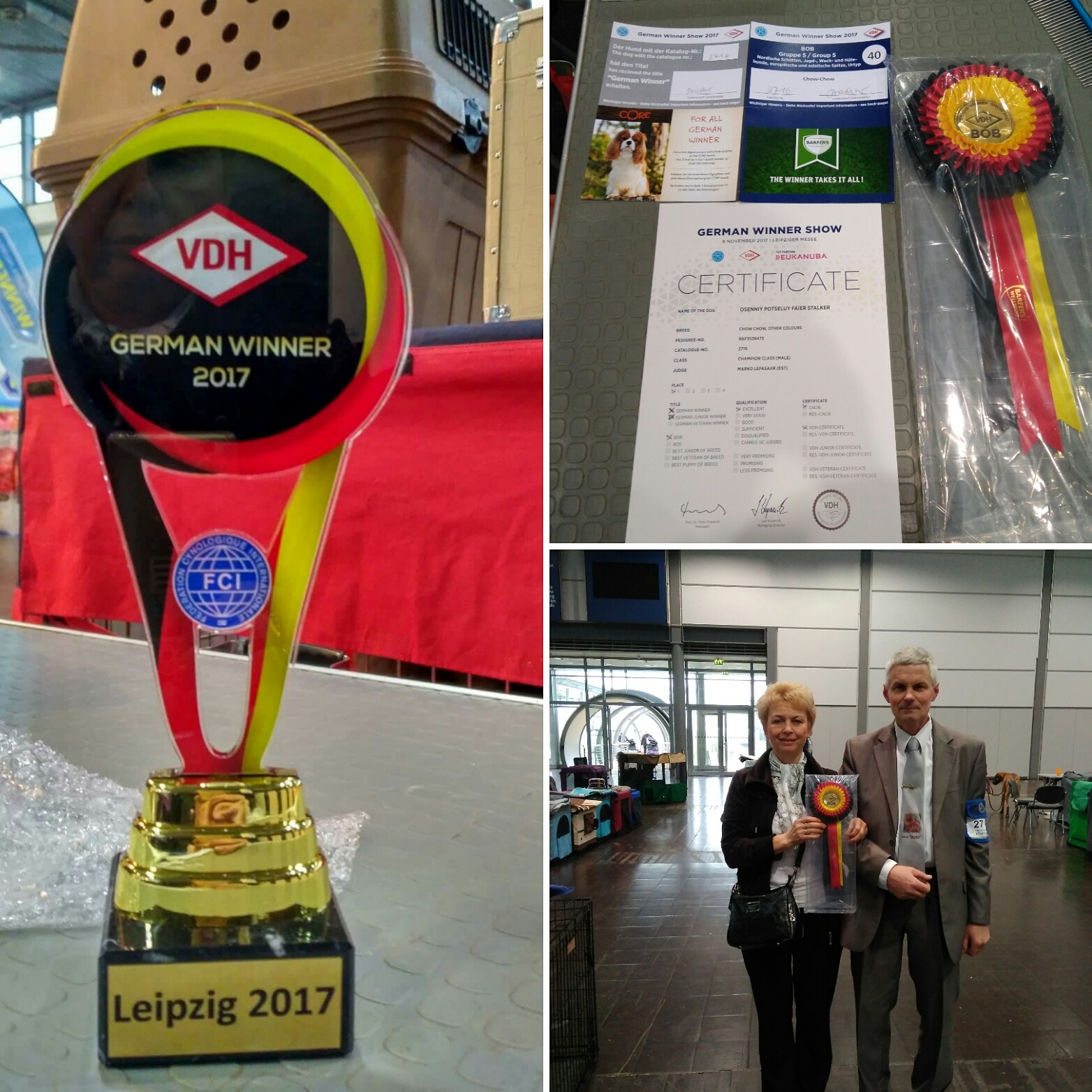 08.11.2017 Germany Winner