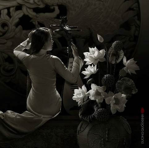 FLORES DE CENIZAS POR FANNY JEM WONG