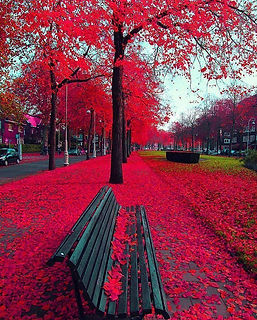 OTOÑO