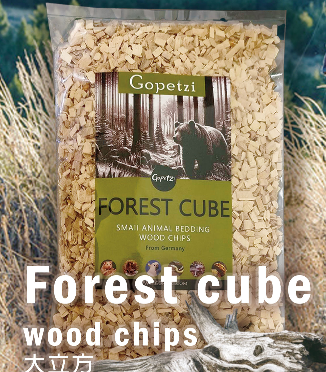 德國-森林大立方