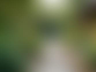 Benefits of Professional Landscaping Services