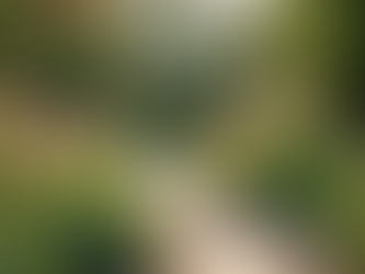 The Role of Landscape Design Professionals