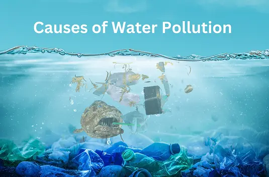 Causes-and-Effects-of-Water-Pollution.webp