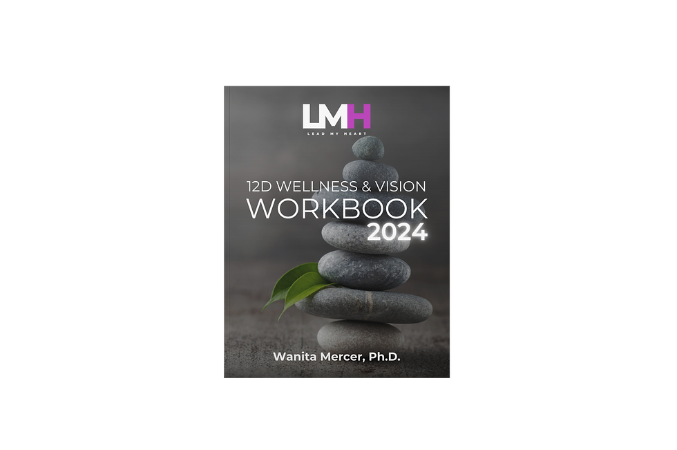 book cover of 12D Wellness & Vision Workbook 2024