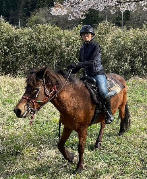 馬は和種系の小ぶりな馬で乗りやすい