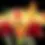 Thumbnail: Rlc. Toshie Aoki 'Starburst'