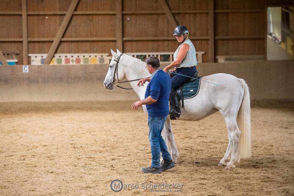 Kurs mit Desmond O'Brien