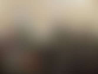 TRANSPARENCIA EN LA GESTIÓN DEL CONCEJO DELIBERANTE