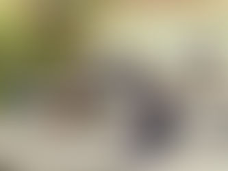 Asian Institute of Management's Executive MBA's Learning Team 5