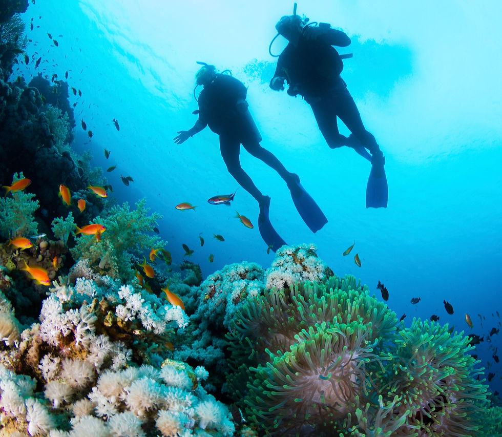 snorkeling