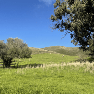 Cal Poly Campus