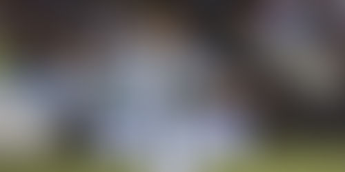 Resmi, Messi Batal Pensiun