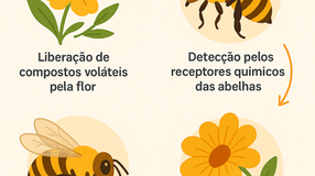 Química da Polinização