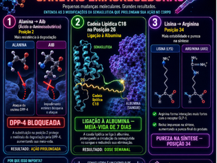 Infografico - Estrutura molecular das modificações da semaglutida