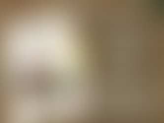 The Food Lover's Companion: A Must-Have Dictionary for Every Kitchen