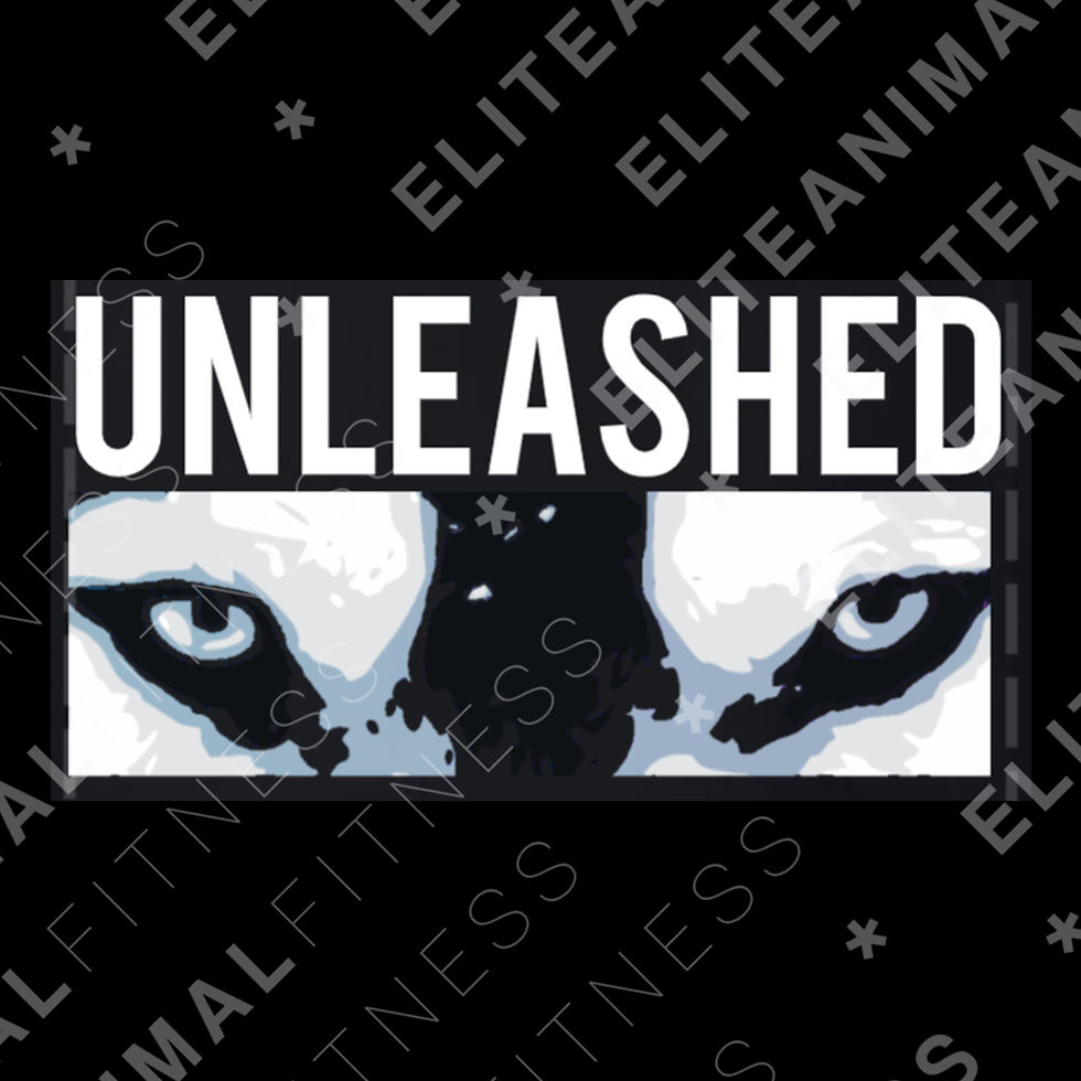 Thumbnail: UNLEASHED