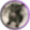 TLG Circle Nina.png