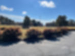 View from pro shop.jpeg