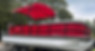 pontoon bost rentals