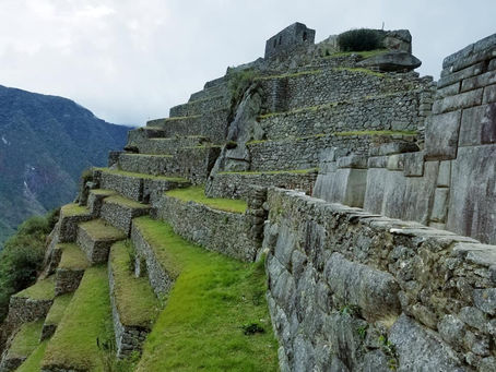 AWAKENING TO FREE WILL & CHOICE