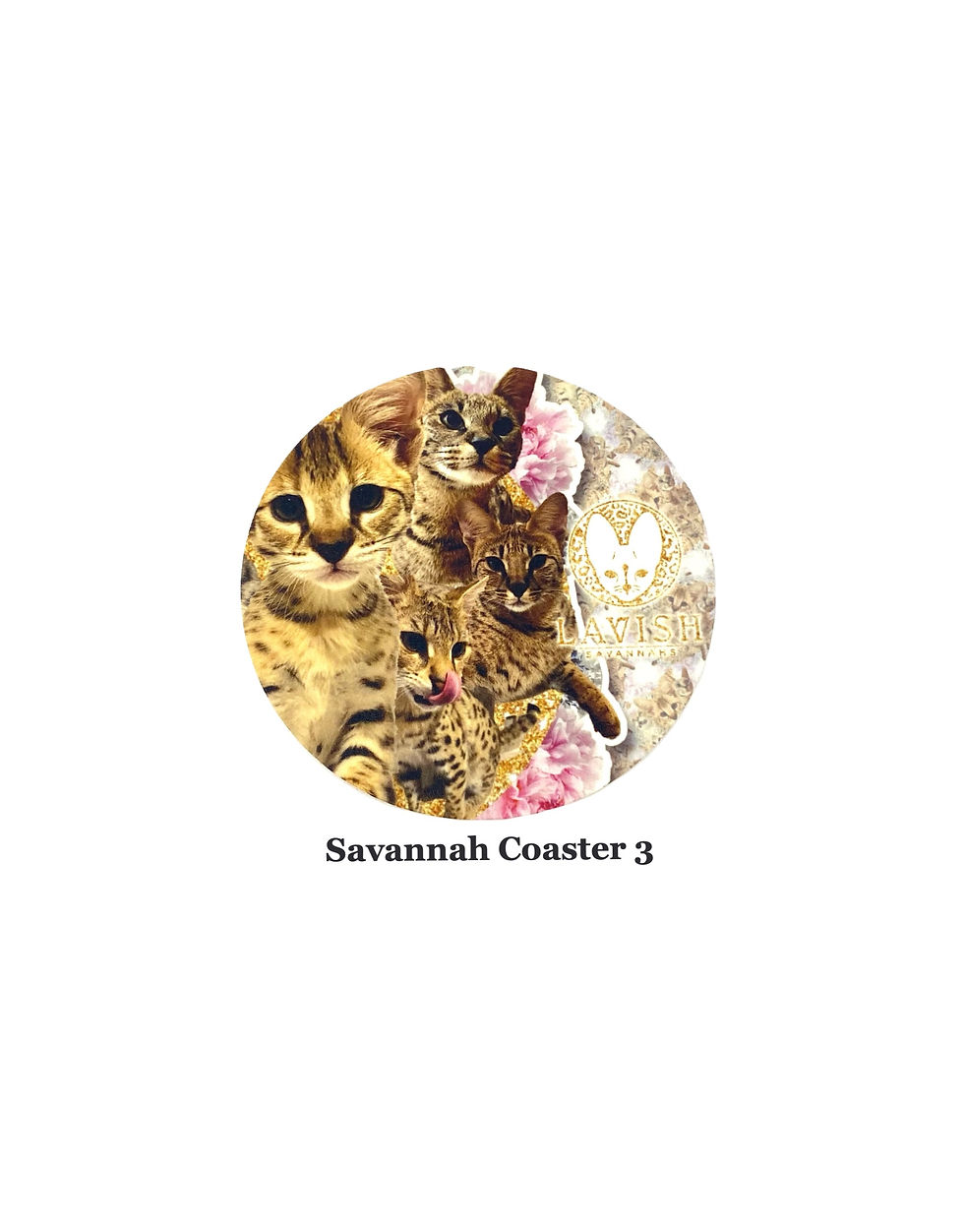 Thumbnail: Perfect Savannah Coaster