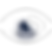 Vision.png