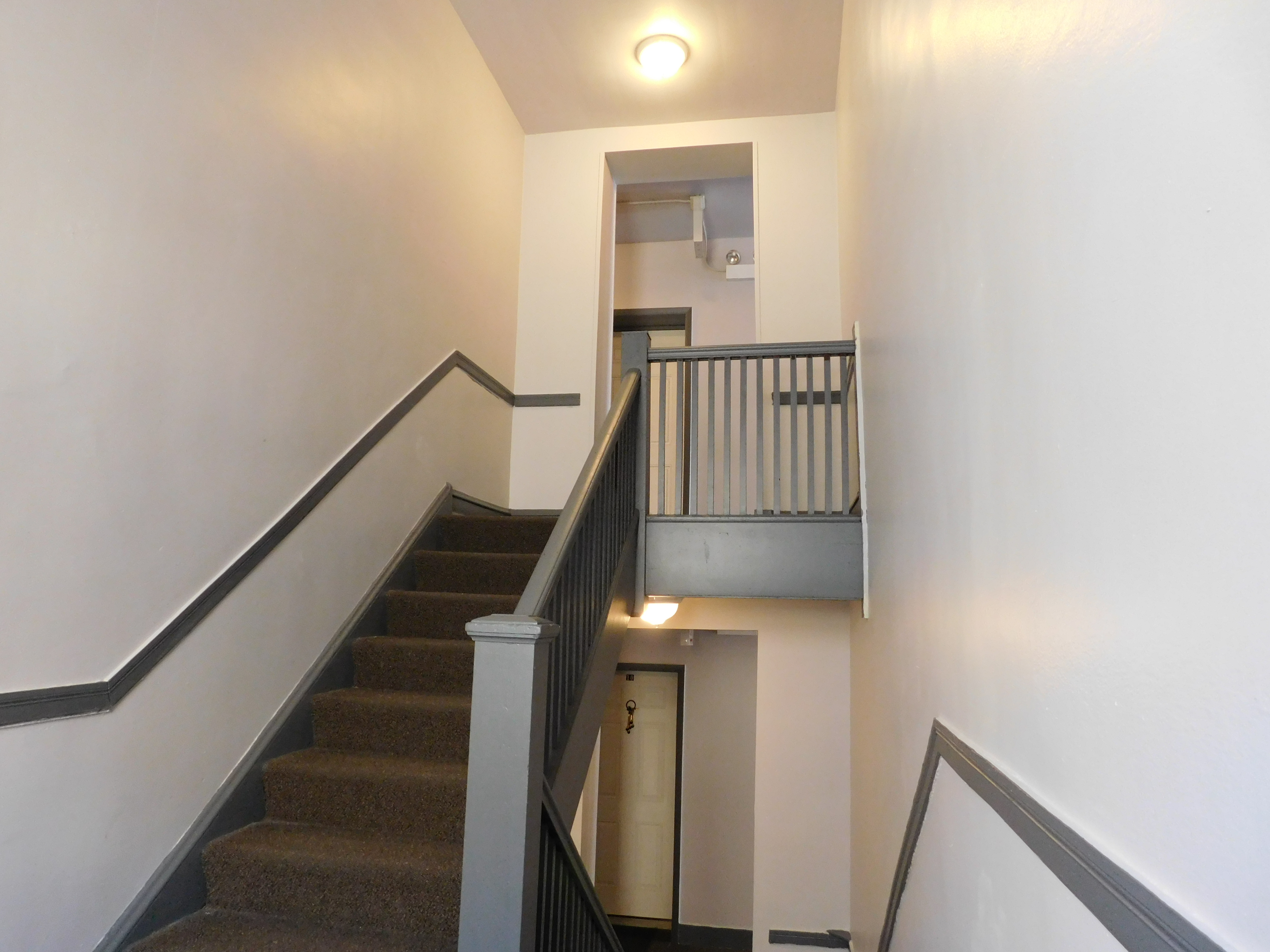 Studio Apartment in Austin Area Chicago IL | RENT RABBIT