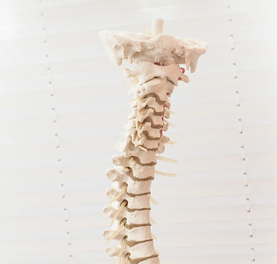 Copy of Untitled Design (1)_edited.jpg